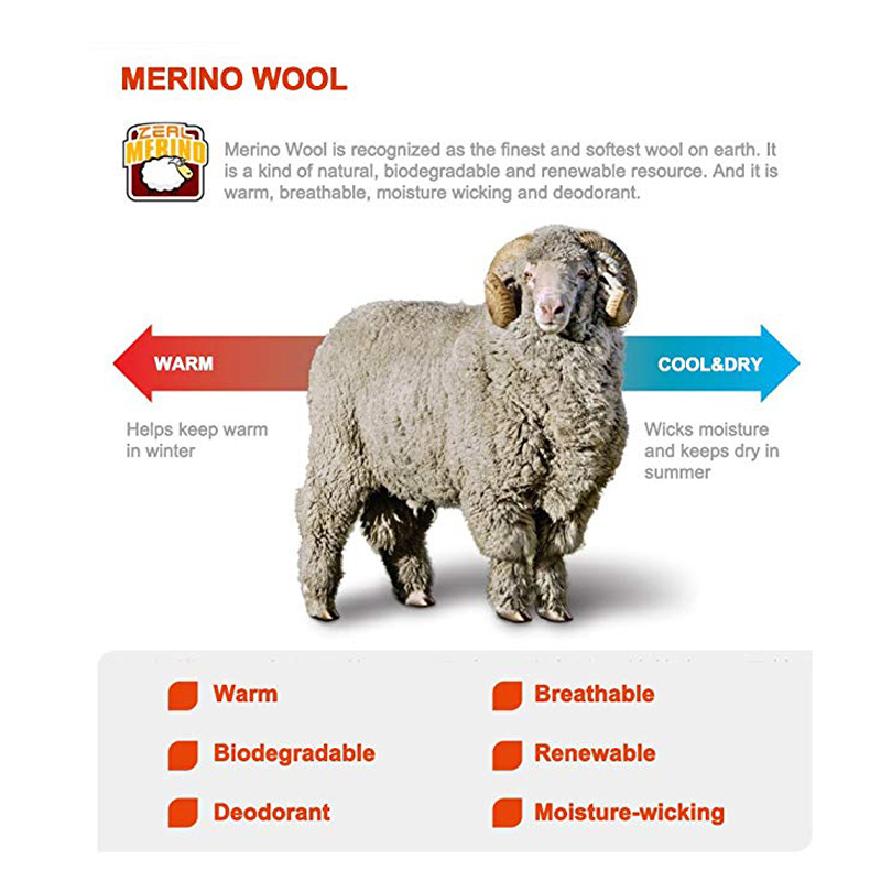 ZEALWOOD randonnée Trekking ho - Thermal Sock Merino avis et prix